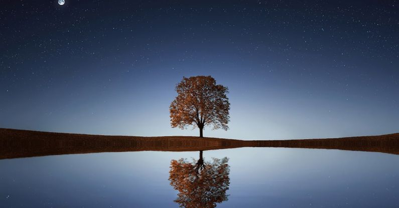 Reflection - Green Tree